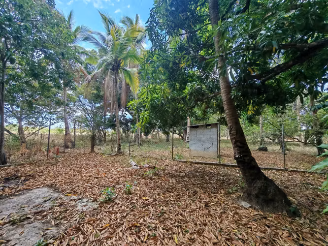 VENTA TERRENO PLANO EN VIA A VALLE DE ANTON 5.5 HECTAREAS CP