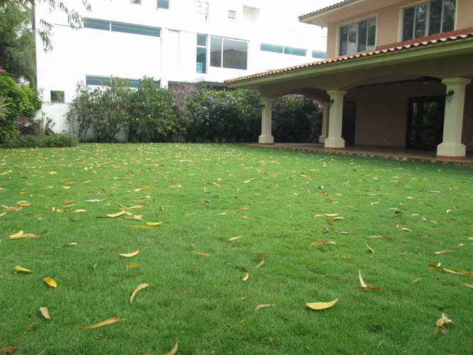 CASA ALQUILLER - Costa del Este, Estupenda con jardín grande !!