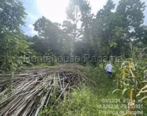 Venta de Terreno con 12001m2 en La Chorrera 26-7776SR