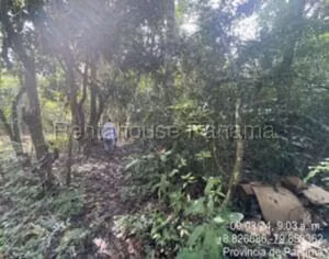 Venta de Terreno con 12001m2 en La Chorrera 26-7776SR