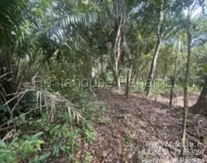 Venta de Terreno con 12001m2 en La Chorrera 26-7776SR