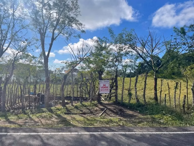 Finca en Cuesta de Piedra 10 Hectáreas $650,000 - Imagen 3