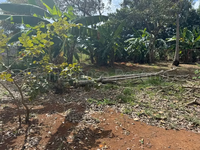 Terreno En Venta En Chorrera ABS