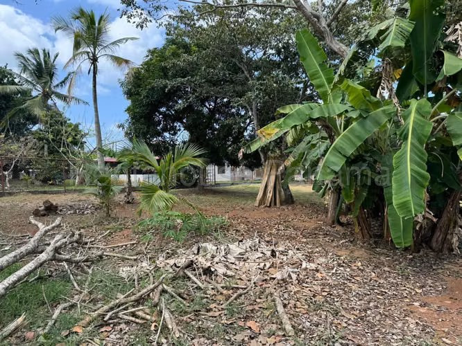 Terreno En Venta En Chorrera ABS