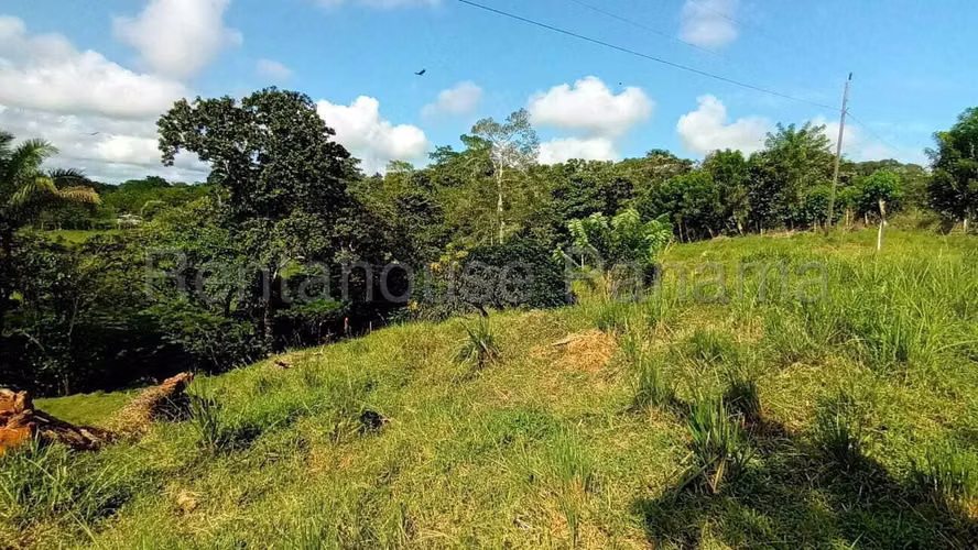 Finca En Venta En Chorrera ABS