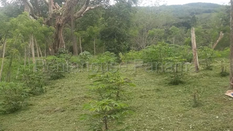 Finca En Venta En Chorrera ABS