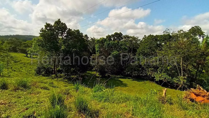 Finca En Venta En Chorrera ABS