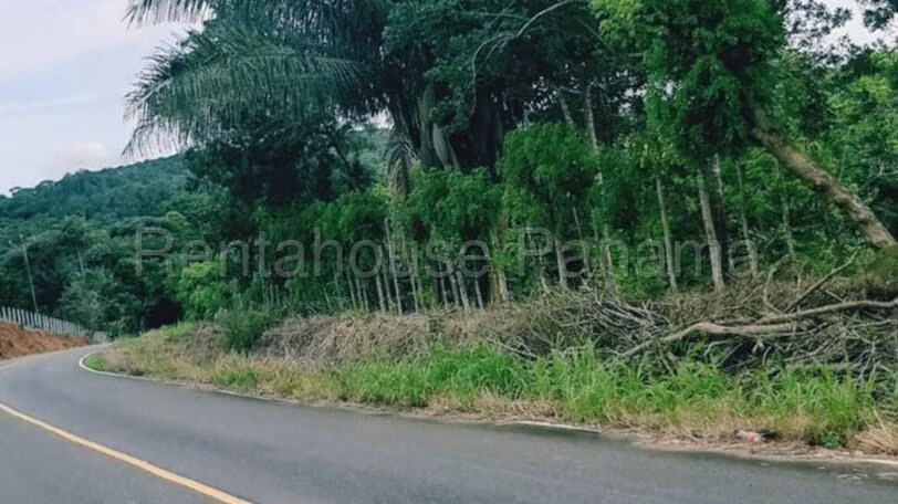 Finca En Venta En Chorrera ABS