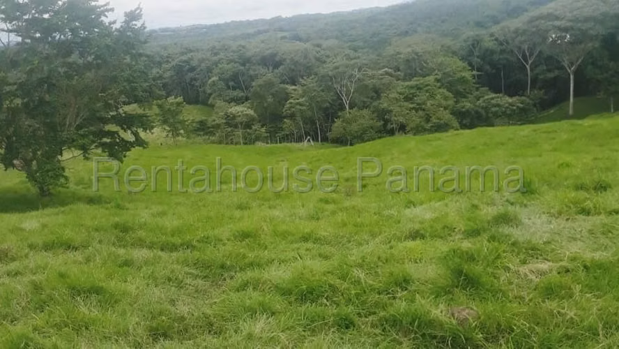 Finca En Venta En Chorrera ABS
