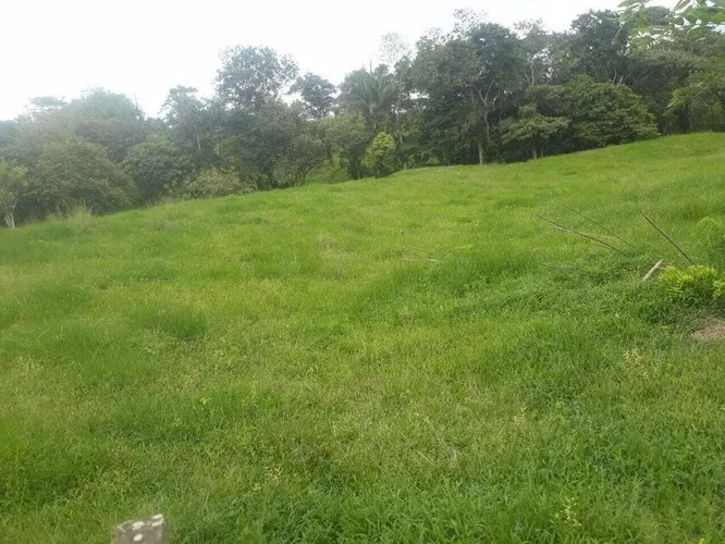 Finca En Venta En Chorrera ABS