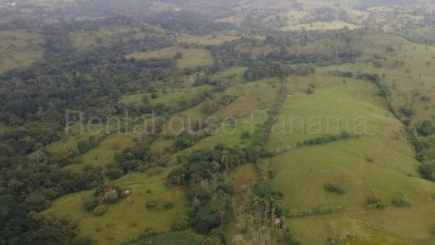 Finca En Venta En Chorrera ABS