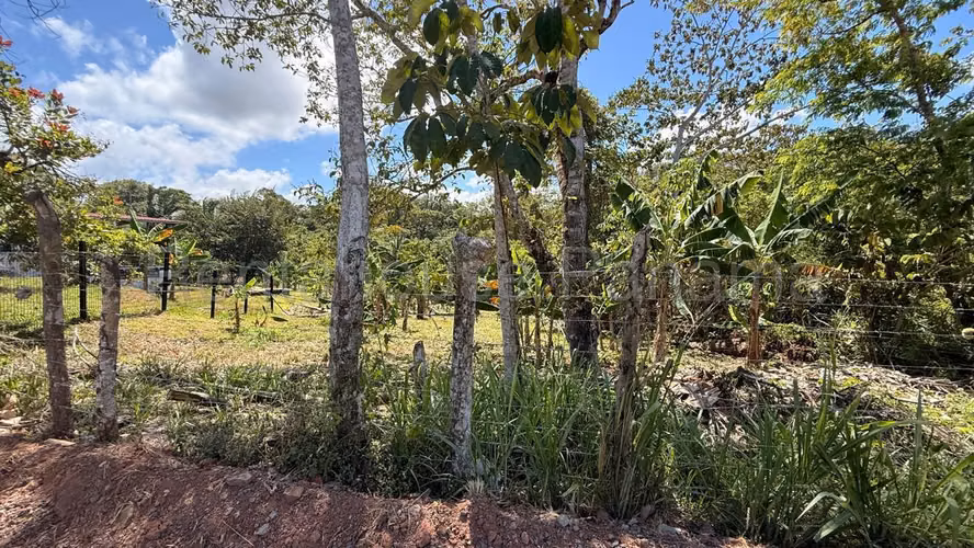 Terreno En Venta En La Chorrera ABS - Imagen 16
