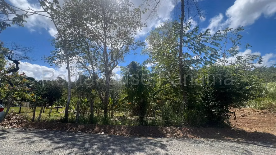 Terreno En Venta En La Chorrera ABS - Imagen 9