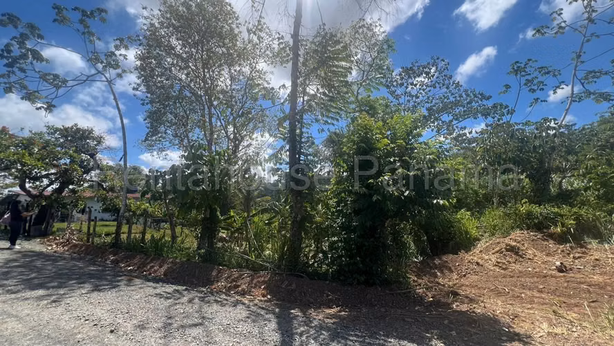 Terreno En Venta En La Chorrera ABS - Imagen 18