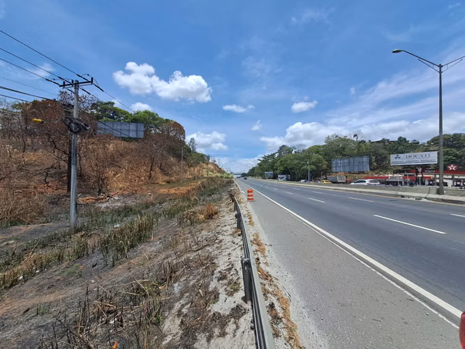 Repossessed Land for Sale in Arraiján | 4 Ha on Highway | Development Opportunity