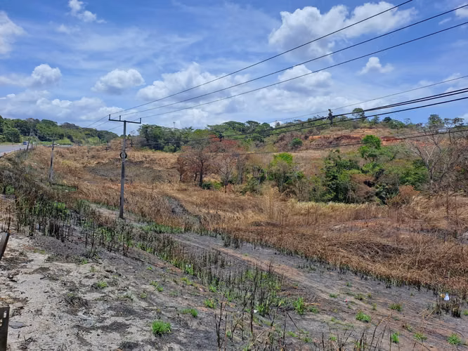 Terreno Reposeído en Venta en Arraiján | 4 Ha sobre Autopista | Ideal Desarrollo