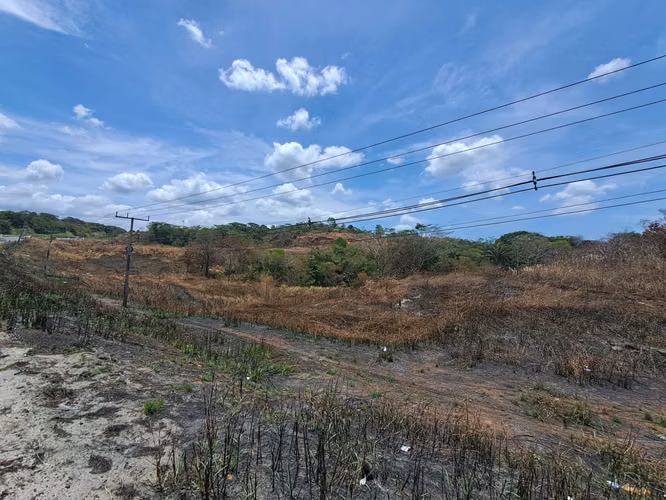 Terreno Reposeído en Venta en Arraiján | 4 Ha sobre Autopista | Ideal Desarrollo
