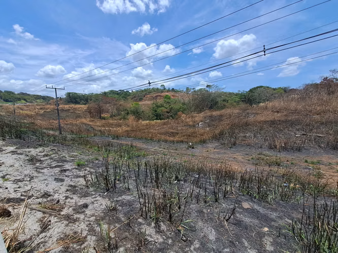 Terreno Reposeído en Venta en Arraiján | 4 Ha sobre Autopista | Ideal Desarrollo