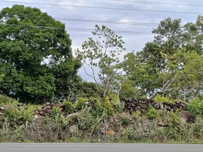 VENDO TERRENO EN COCHEA VÍA BOQUETE $70.00 MT2 - Imagen 2