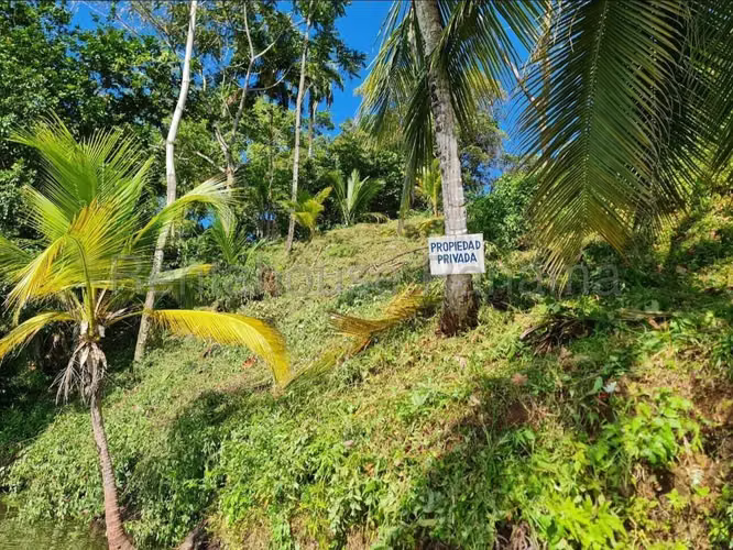 Venta de Terreno en Bocas del Toro Punta Laurel CCO