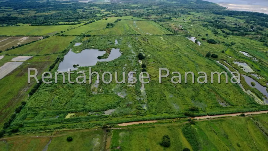 Land for Sale in Felipillo