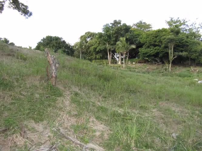 Terreno en Gorgona