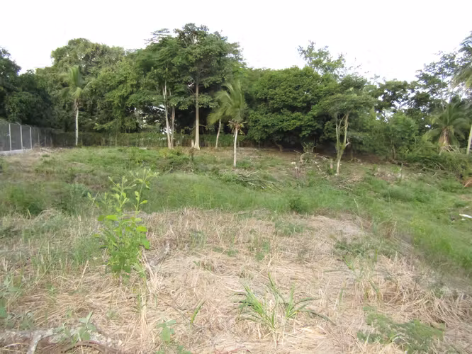 Terreno en Gorgona