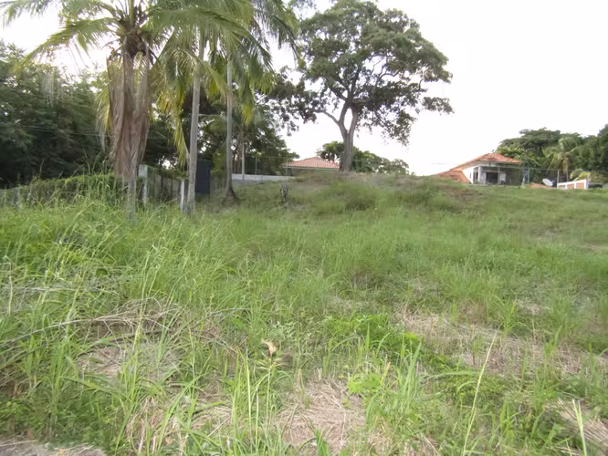 Terreno en Gorgona