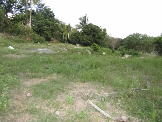 Terreno en Gorgona