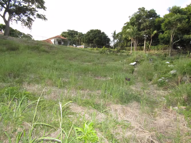 Terreno en Gorgona