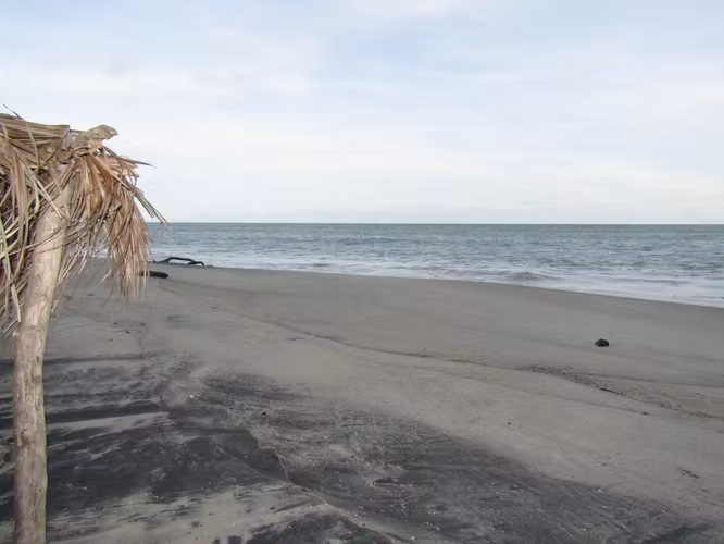 Land in Gorgona