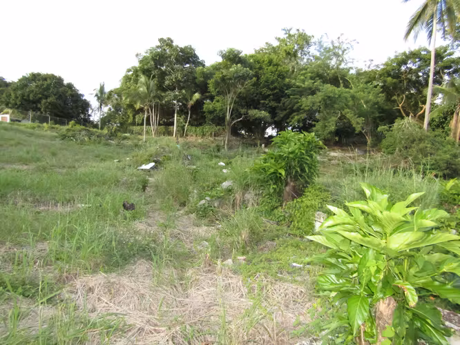 Terreno en Gorgona