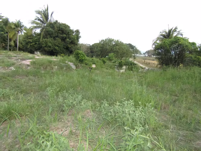 Terreno en Gorgona