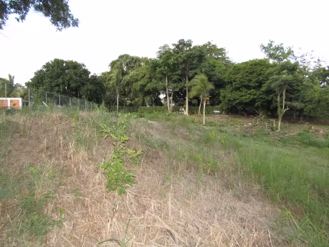 Terreno en Gorgona