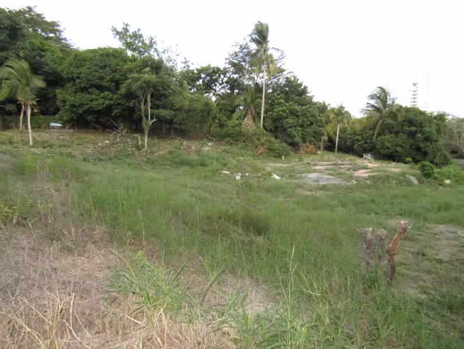 Terreno en Gorgona