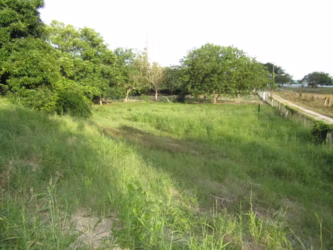 Terreno en Gorgona