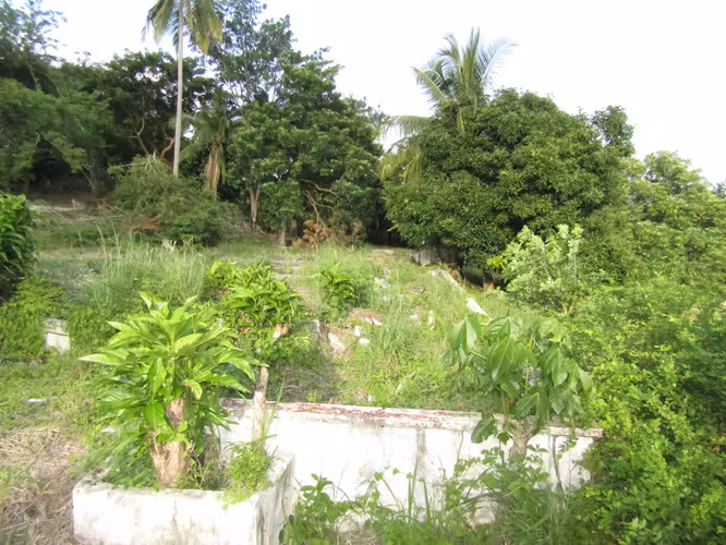 Terreno en Gorgona