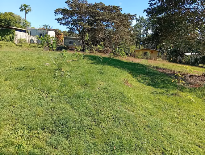 Vendo terreno en Los Pinos Caimitillo Panamá