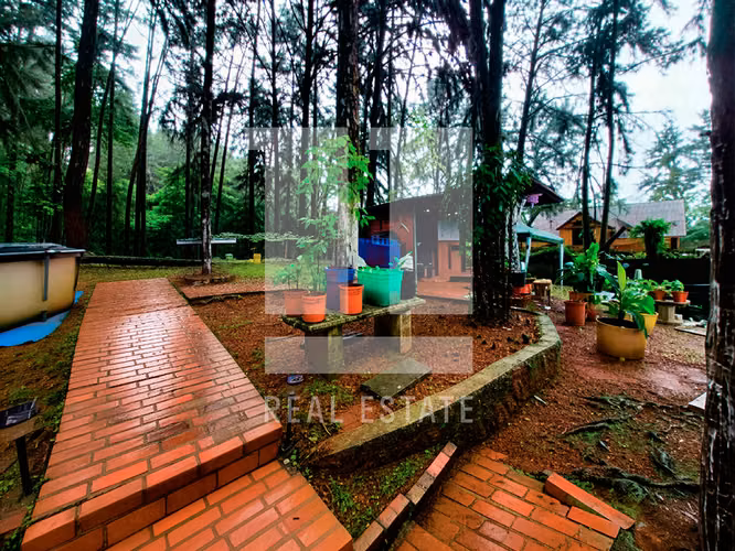 Se vende casa en Cerro Azul - Urb. el Pinar - Imagen 2