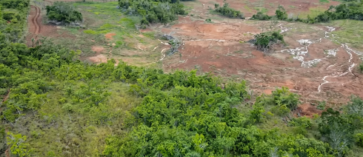 Terreno Agropecuario en Venta en Santiago | Oportunidad de Inversión por Debajo de Avalúo
