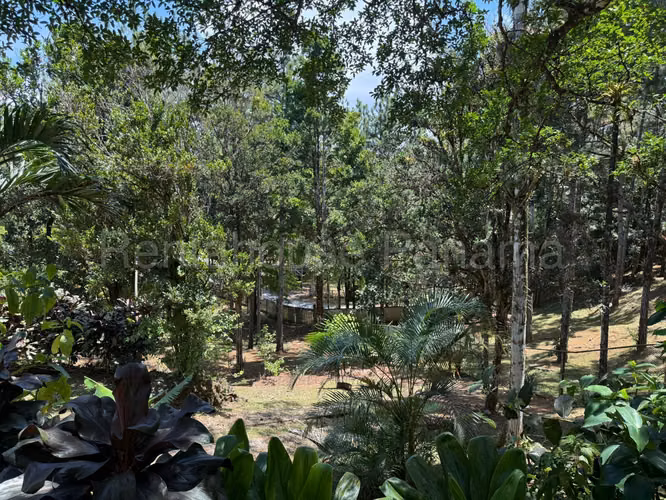 VENTA DE CASA EN ALTOS DE CERRO AZUL CERRO AZUL HQ