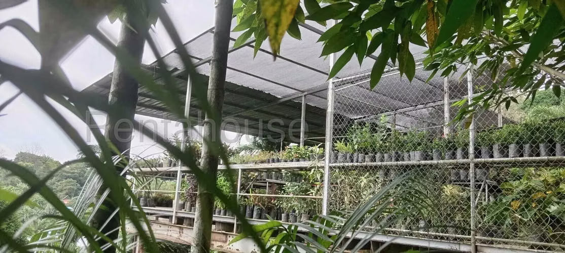 VENTA DE TERRENO EN TERRENO ALCALDE DÍAZ LAS CUMBRES HQ