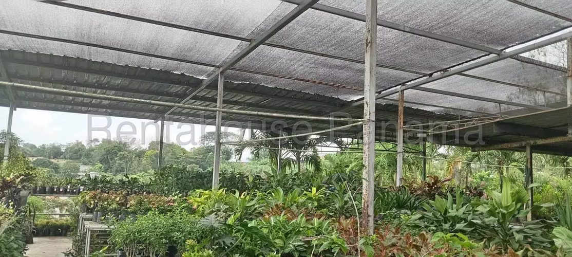 VENTA DE TERRENO EN TERRENO ALCALDE DÍAZ LAS CUMBRES HQ