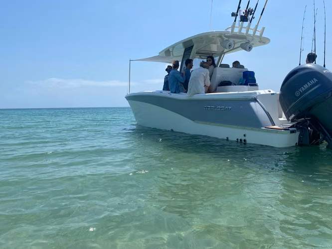 World Cat 280 CC-X 2019