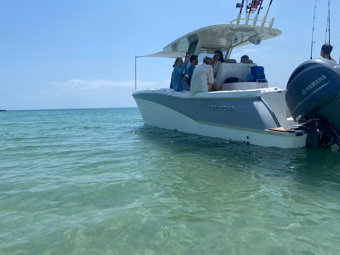 World Cat 280 CC-X 2019