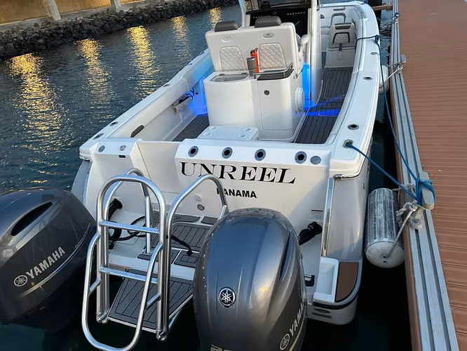 World Cat 280 CC-X 2019