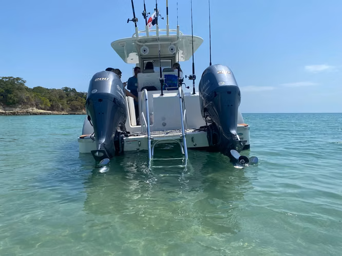 World Cat 280 CC-X 2019