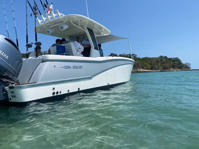 World Cat 280 CC-X 2019