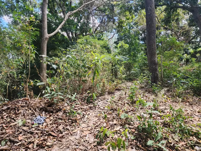VENDO TERRENO EN PENONOME