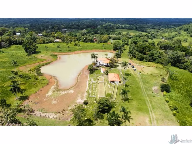 VENTA LOTE CHORRERA EL ESPINO 52 HECTAREAS CV